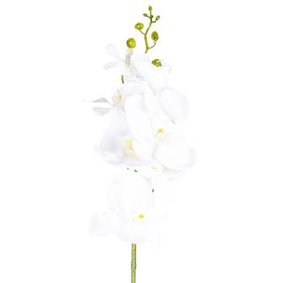 Umelá Orchidea čisto biela, 86 cm